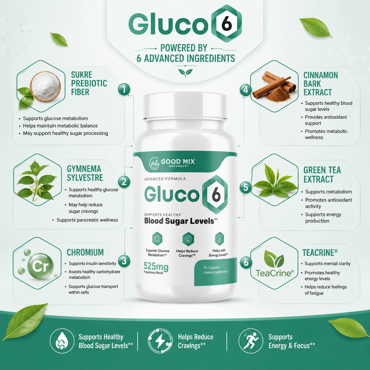 gluco6 ingridiants